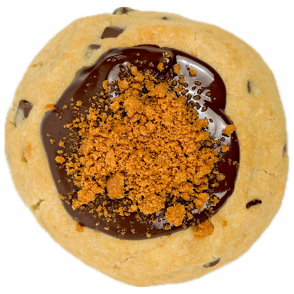 vegan lotus biscoff cookie